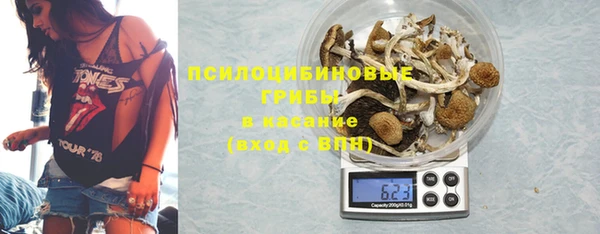 амф Протвино