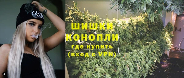 ешки Заводоуковск