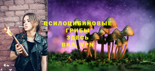 ешки Заводоуковск