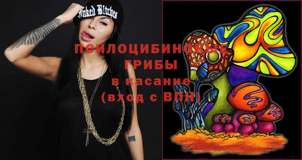 apvp Ессентукская