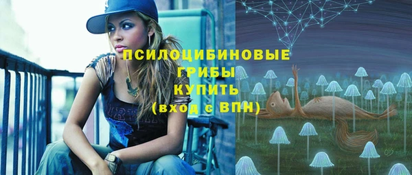 сатива Медногорск